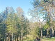 Sitio en Venta en Camino villarrica loncohe