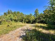 Sitio en Venta en Camino Villarrica Pucon Km 3