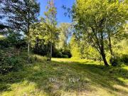 Sitio en Venta en Camino Villarrica Pucón Los Guindos