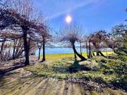 Sitio en Venta en Camino Villarrica Pucón Sector Los...