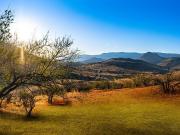 Sitio en Venta en cercano a santa teresa