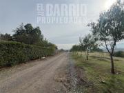 Sitio en Venta en Chicureo Centro