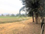 Sitio en Venta en Chicureo Centro