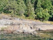 Sitio en Venta en COD39048 Parcela orilla lago Caburgua