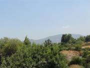 Sitio en Venta en Colegio Nido Aguilas