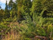 Sitio en Venta en Colonia tres puentes