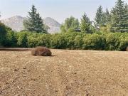 Sitio en Venta en Condominio Las Brisas de Chicureo