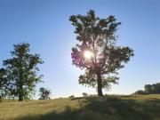 Sitio en Venta en Condominio los Robles