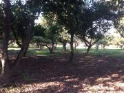 Sitio en Venta en CONSITORIAL QUEBRADA DE MACUL