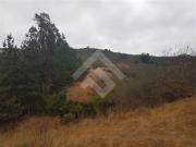 Sitio en Venta en El Rincón de la Mestiza