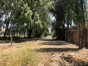 Sitio en Venta en FUNDO EL MOLINO / ANGOSTURA