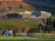 Sitio en Venta en HARAS DE PIRQUE