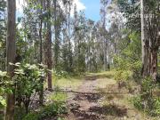 Sitio en Venta en lau lau