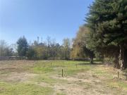 Sitio en Venta en Lomas de Nogales