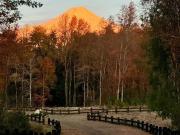 Sitio en Venta en loncotraro