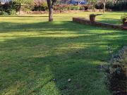 Sitio en Venta en Los Flamencos