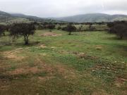 Sitio en Venta en Los Maitenes