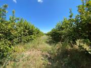 Sitio en Venta en Los Panguiles / Derechos de Agua