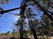 Sitio en Venta en Los pinos Reñaca