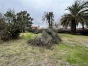 Sitio en Venta en Malloco