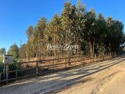 Sitio en Venta en mantagua