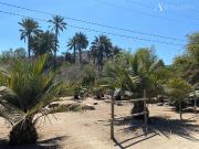 Sitio en Venta en OASIS DE LA CAMPANA