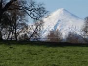 Sitio en Venta en Panguipulli