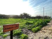 Sitio en Venta en PARCELA CON ROL PROPIO EN CONDOMINIO,...