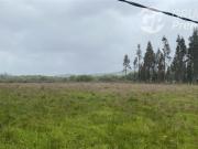 Sitio en Venta en Parcela plana ubicada en el sector...