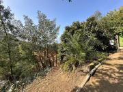 Sitio en Venta en Pastos Fernandez, sector Plaza San Enrique