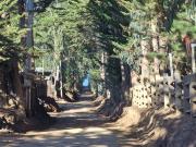 Sitio en Venta en Pichilemu