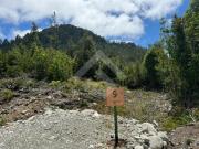 Sitio en Venta en Piedra Azul, Parcelacion Nativo Sur