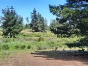 Sitio en Venta en PINARES NORTE F90 Km 3 camino costero...
