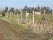 Sitio en Venta en Reina Sur, Colina