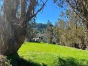Sitio en Venta en Reserva de tunquen