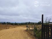 Sitio en Venta en Resto del Fundo Mallermo