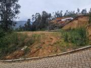 Sitio en Venta en Ruta de la madera Km 17 aprox