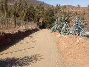Sitio en Venta en ruta F240 FUNDO LAS GAVIOTAS
