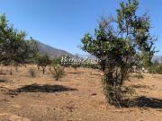 Sitio en Venta en Santa Filomena