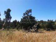 Sitio en Venta en Santo Domingo