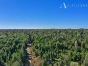 Sitio en Venta en Sector Aguas Buenas