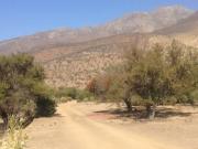 Sitio en Venta en Sector Polpaico de Til Til