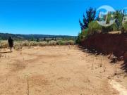 Sitio en Venta en Sector Puente 7, Ruta O 420, Florida