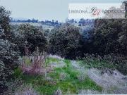 Sitio en Venta en Sitio con pendiente en Las Gaviotas