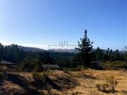 Sitio en Venta en Terrenos Alto Pupuya