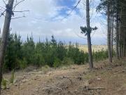 Sitio en Venta en Tunquén Sitio en Venta en Tunquén