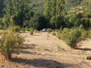 Sitio en Venta en Yerbas buenas Sitio en Venta en Yerbas buenas