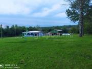 Sitio, Fiuza, Viamão, RS