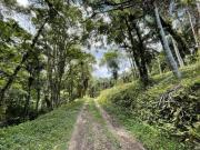 Sitio, Juquitiba, Juquitiba, SP