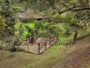 Sitio, Limoeiro, Natividade da Serra, SP